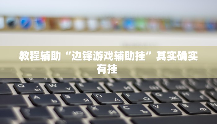 教程辅助“边锋游戏辅助挂”其实确实有挂 