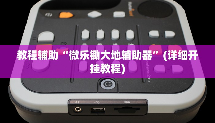 教程辅助“微乐锄大地辅助器”(详细开挂教程)