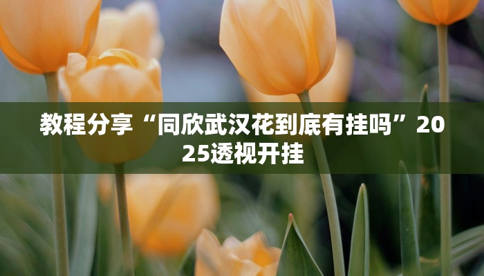 教程分享“同欣武汉花到底有挂吗”2025透视开挂