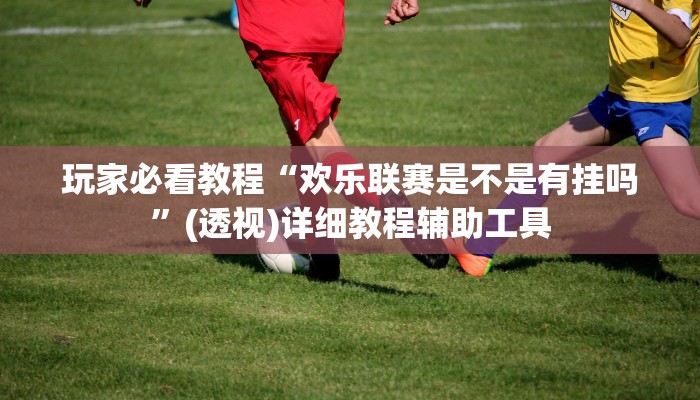 玩家必看教程“欢乐联赛是不是有挂吗”(透视)详细教程辅助工具 玩家必看教程“欢乐联赛是不是有挂吗”(透视)详细教程辅助工具