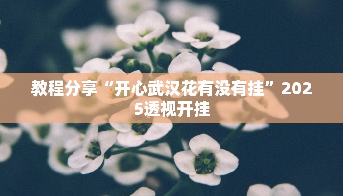 教程分享“开心武汉花有没有挂”2025透视开挂