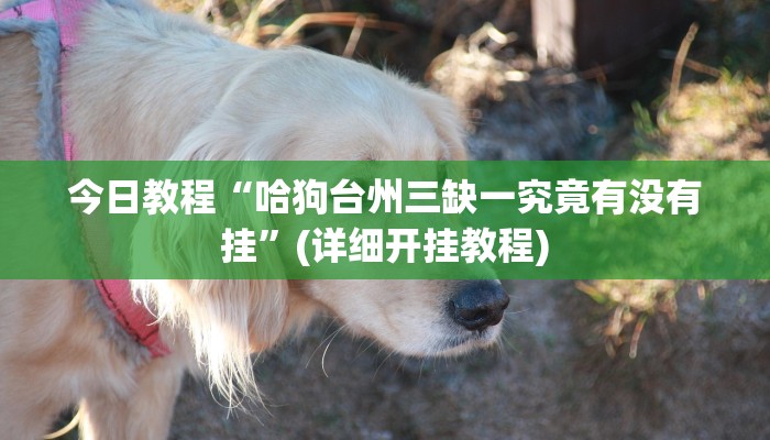 今日教程“哈狗台州三缺一究竟有没有挂”(详细开挂教程)