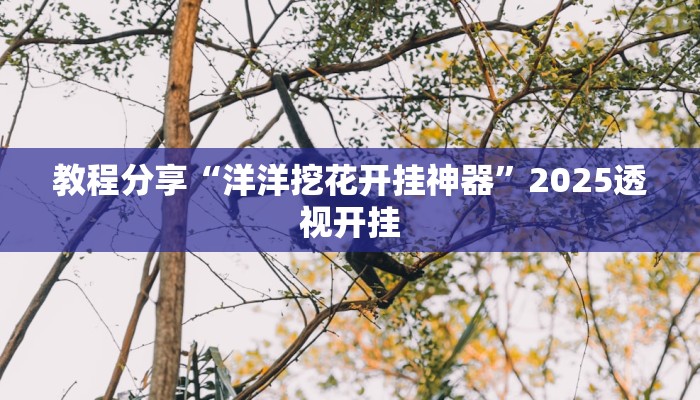 教程分享“洋洋挖花开挂神器”2025透视开挂 教程分享“洋洋挖花开挂神器”2025透视开挂