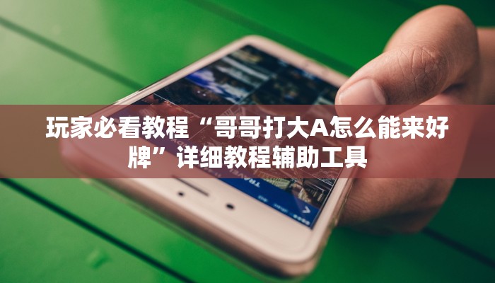 玩家必看教程“哥哥打大A怎么能来好牌”详细教程辅助工具