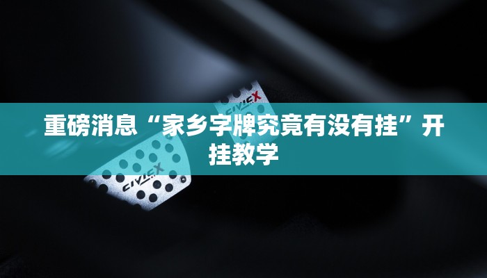 重磅消息“家乡字牌究竟有没有挂”开挂教学 重磅消息“家乡字牌究竟有没有挂”开挂教学