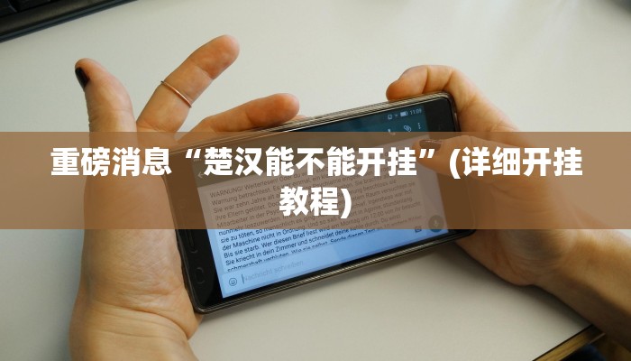 重磅消息“楚汉能不能开挂”(详细开挂教程) 重磅消息“楚汉能不能开挂”(详细开挂教程)