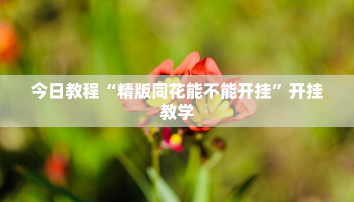 今日教程“精版同花能不能开挂”开挂教学