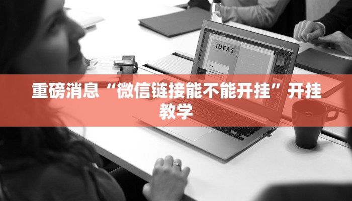 教程分享“随便跑胡子其实可以开挂”2025透视开挂
