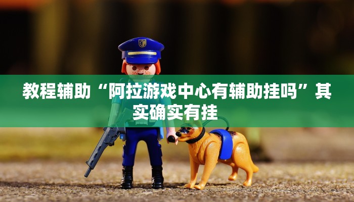 教程辅助“阿拉游戏中心有辅助挂吗”其实确实有挂 